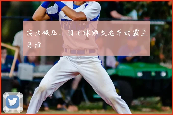 实力碾压！羽毛球颁奖名单的霸主是谁