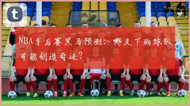 NBA季后赛黑马预测:哪支下狗球队可能创造奇迹?